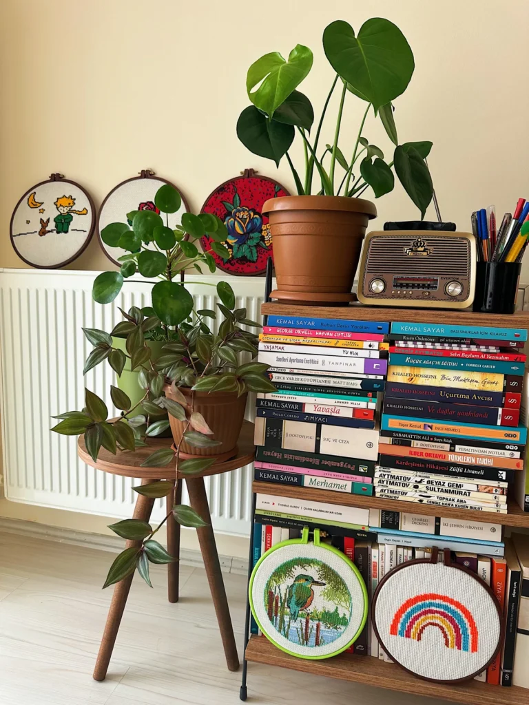 Bookshelf filled with books and plants